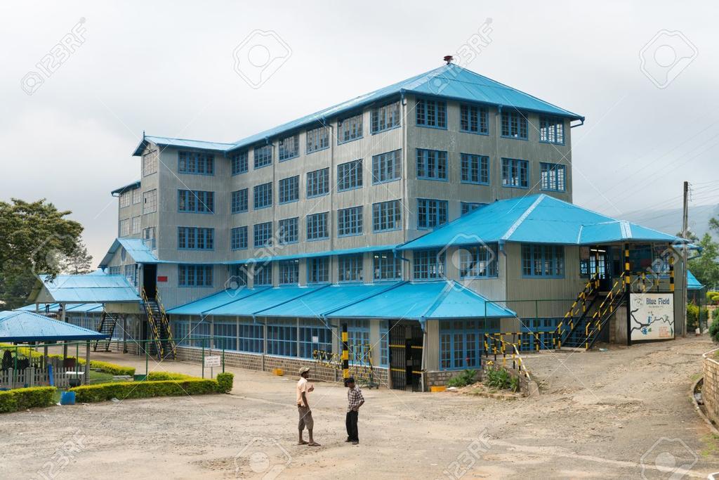 Max Mount View Hotel Nuwara Eliya Exterior foto