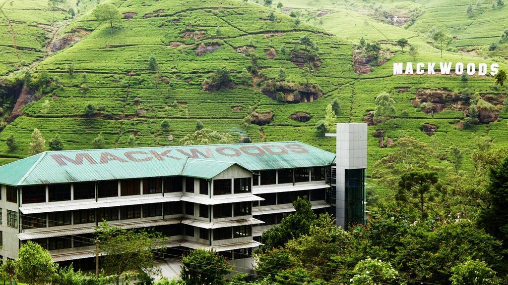 Max Mount View Hotel Nuwara Eliya Exterior foto